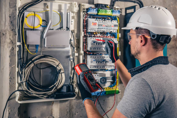 Best Licensed Electrician  in Taylorvle, IL