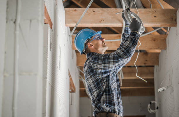 Best Electrician for Home Renovation  in Taylorvle, IL