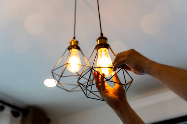 Best Emergency Electrician Near Me  in Taylorvle, IL