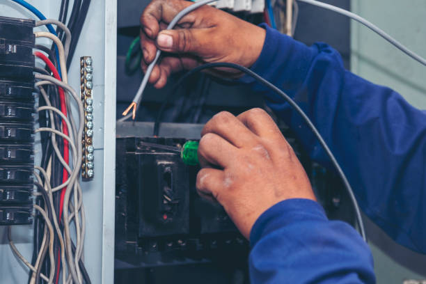 Best Electrical Wiring Services  in Taylorvle, IL
