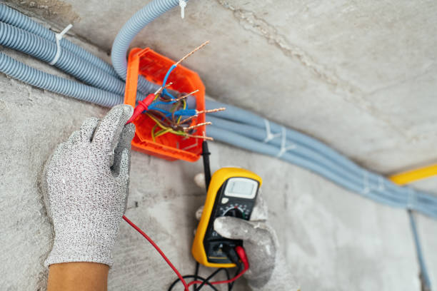 Best Residential Electrician Services  in Taylorvle, IL